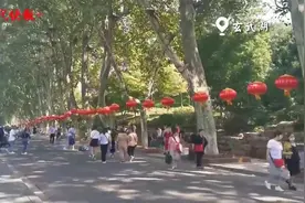 秋色迷人！国庆黄金周首日，南京各大景区人气逐渐复苏图片