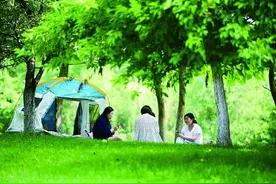 森林城市：让“推窗见绿、出门进林”成为现实图片