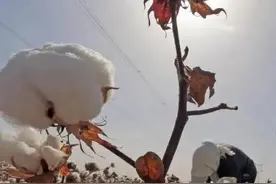 新疆从哪里来？请记得这些开天辟地的人图片