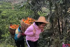 变化中的百坭村：文秀书记的心愿正一个个实现视频封面