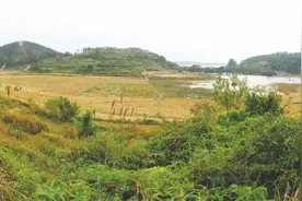 从核说起 | 防城港核电：我国西部和少数民族地区首座核电站是这样建成的图片