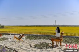 塔克拉玛干沙漠边缘特色村 两个月余换新颜图片
