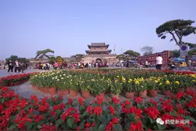 实拍！国庆第一天，鹤壁这里太热闹了图片