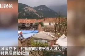 山东烟台一村庄遭遇龙卷风，掀翻屋顶刮断电线杆全村停电图片