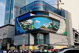 快看！大象“惊现”昆明街头！还有绿孔雀和滇金丝猴……图片