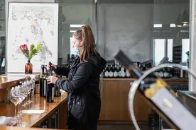 全球连线 | 南非葡萄酒商期待进一步开拓中国市场图片