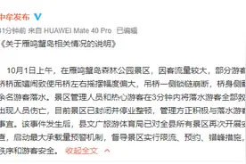 评论丨假日又见吊桥出事，硬件问题归根结底是“人”的问题图片