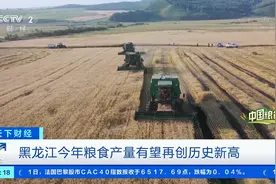 中国粮仓丨黑龙江省副省长王永康：中国人每9碗饭就有1碗来自黑龙江，黑龙江粮食产量连续10年全国第一图片