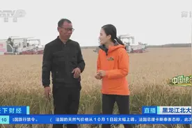 中国粮仓丨北大荒→北大仓！全国最大无人化农场群喜获丰收图片