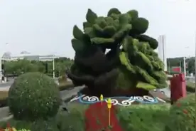 1200万盆鲜花绽放街头 “中国红”闪耀申城视频封面