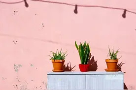 夜读 | 爱好，可以使人发光图片