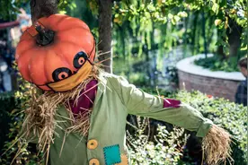 2021年万圣节最受欢迎的服装是什么？图片