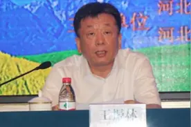 农行河北分行原副行长王振林，接受纪律审查和监察调查视频封面
