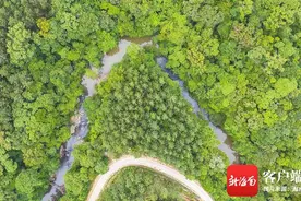 探访海南黎母山生态研学基地：一所藏于自然的学堂图片