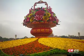 在北京过国庆节是什么体验？这是去天安门广场看升旗的最佳攻略图片