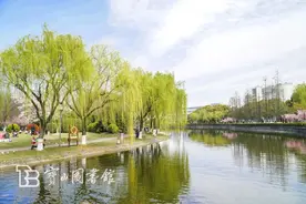 上海大学新校区的建设项目获得批准，他一晚没睡着图片
