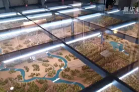 客从河洛来 不忘根与魂图片
