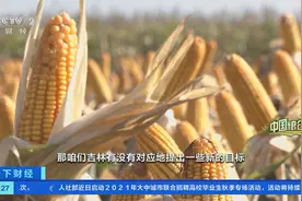 吉林省副省长韩福春：2021年吉林粮食产量将首次破800亿斤大关，600亿斤玉米9成达一等品质图片
