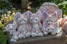 这个国庆，南北两大乐园对战：迪士尼“新花旦”救场，黄牛加价上百元图片