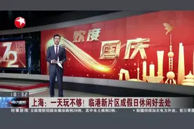 上海：一天玩不够！临港新片区成假日休闲好去处视频封面