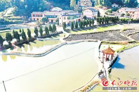 长沙沙田村老板们的创业故事图片