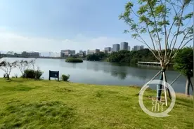上游记者推荐“重庆之美”| 有山有水有树林，这个“世外桃源”等你来耍图片