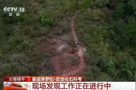 重返侏罗纪｜探访那些生活在2亿年前的史前动物图片