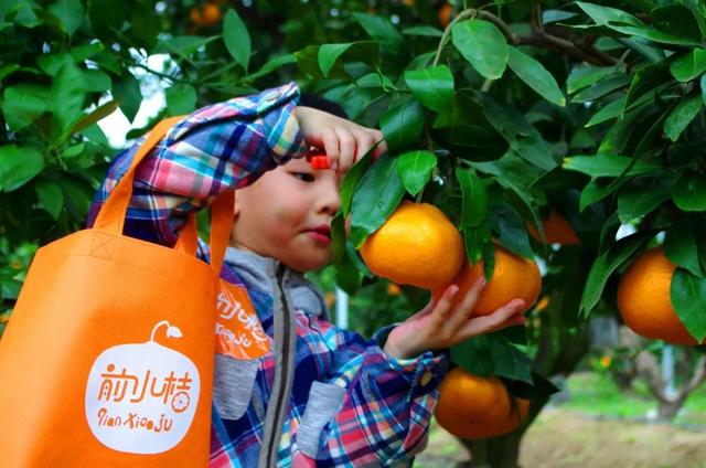 前小桔农场，国庆精彩内容大放送