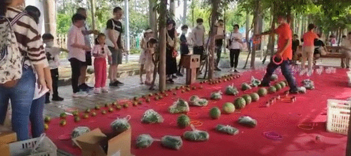 前小桔农场，国庆精彩内容大放送