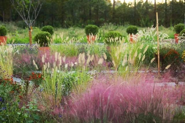 前小桔农场，国庆精彩内容大放送