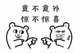 特步李宁等，毕节年产400万件图片