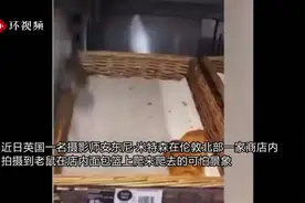 可怕！伦敦一商店内惊现两只大老鼠在牛角面包上爬来爬去图片