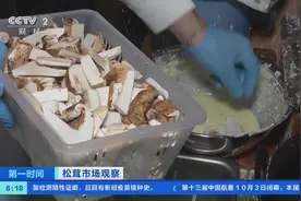 中国松茸在日本卖到1公斤670元！国内市场需求旺盛，云南松茸出口转内销图片