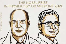 诺贝尔生理学或医学奖揭晓！研究与你有关图片
