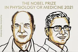 为什么吃火锅会辣得嘴巴疼？刚刚，诺贝尔首个大奖揭晓图片