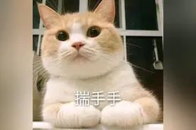 云南奇葩食材赏图片