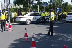 青西郊野公园：今日迎万名游客 停车场一位难求图片