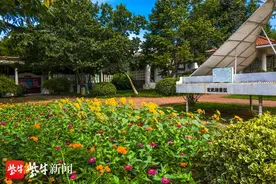 情侣园1.6万株向日葵盛开 南京玄武湖秋花秋实展开幕图片