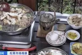 1公斤卖到2900元！日本松茸消费热度不减，为啥这么火？图片