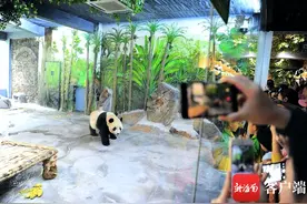 海南人游海南成为海南旅游市场一大亮点图片