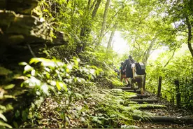 相当于爬76层楼！张家界游客纷纷体验天门山999级台阶图片