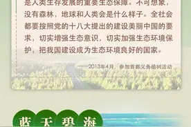 学习进行时｜习近平心中的美丽中国图片