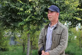 小小乡村，有个“牛气”梦想图片