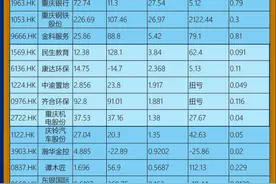 17家香港上市渝企今年上半年赚205亿元 净利王是它图片