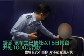 辱华“精日”车贴仍可定制？严抓狠打黑产源头图片