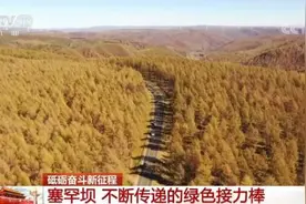 塞罕坝 不断传递的绿色接力棒图片
