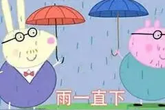 暴雨！海口发布暴雨红色预警！还有热带低压或生成……图片