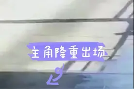 鸭子大摇大摆闯进收费站 高速工作人员变身赶鸭人图片