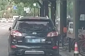 杭州这条斑马线怎么拐了个弯？网友：太有爱了图片