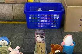 南宁街头有摊贩经营“活体宠物套圈”，当地市场监管部门已介入图片